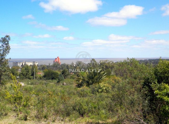 imagen  de la propiedad 169955