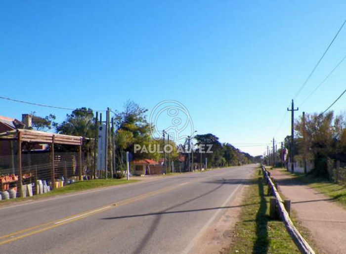 imagen  de la propiedad 169970