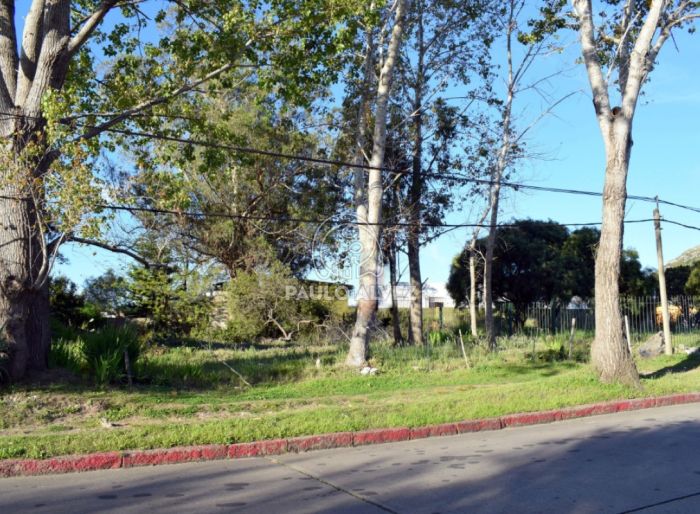 imagen  de la propiedad 169981