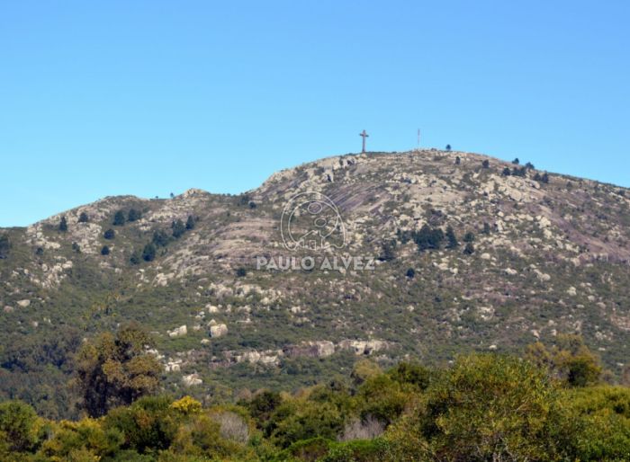 imagen  de la propiedad 169987