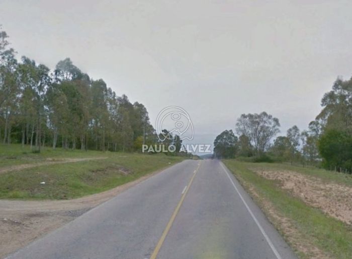 imagen  de la propiedad 169987