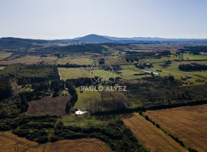 imagen  de la propiedad 169997