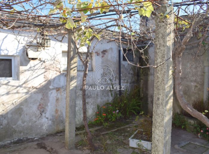 imagen  de la propiedad 170010