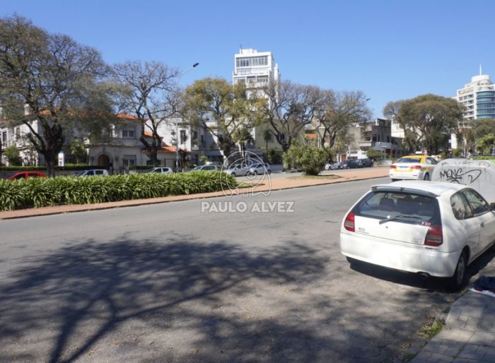 imagen  de la propiedad 170028