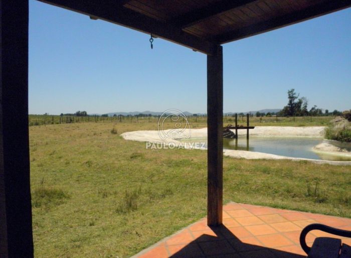 imagen  de la propiedad 170033