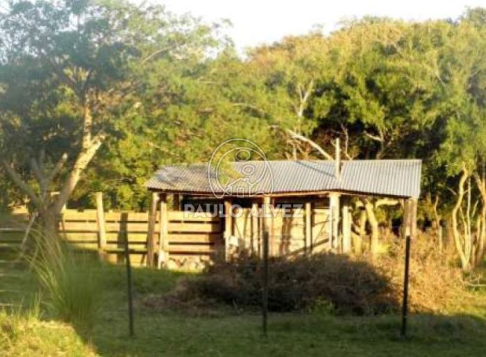 imagen  de la propiedad 170033