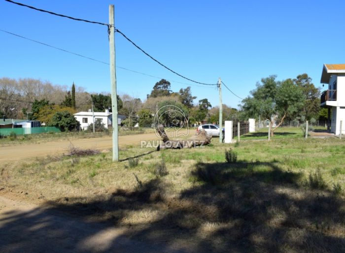 imagen  de la propiedad 170037