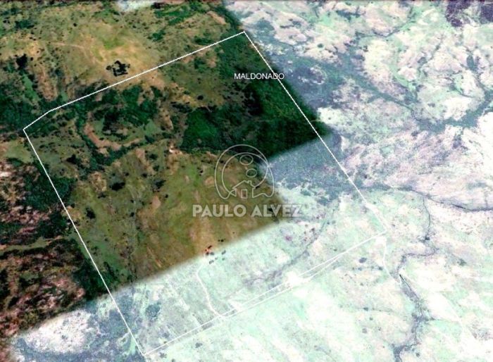 imagen  de la propiedad 170042