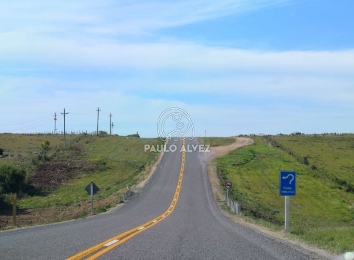 imagen  de la propiedad 170052
