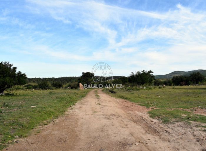 imagen  de la propiedad 170053