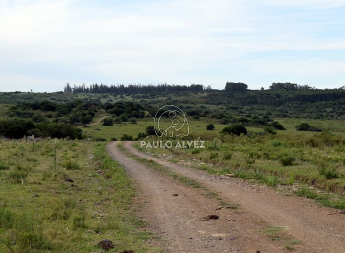 imagen  de la propiedad 170058
