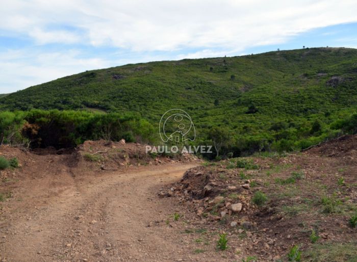 imagen  de la propiedad 170058