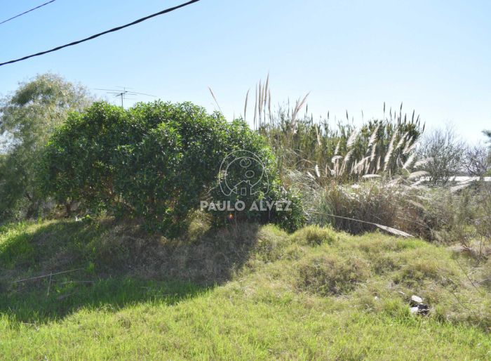 imagen  de la propiedad 170079