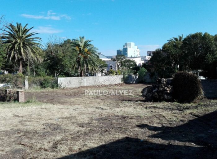 imagen  de la propiedad 170086
