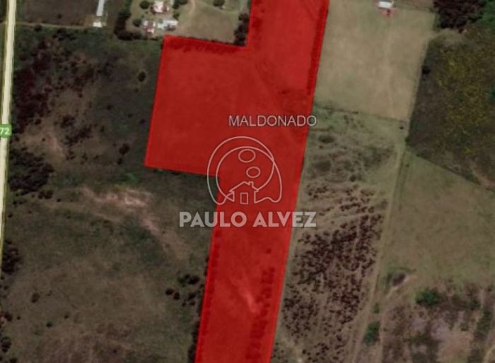 imagen  de la propiedad 170098