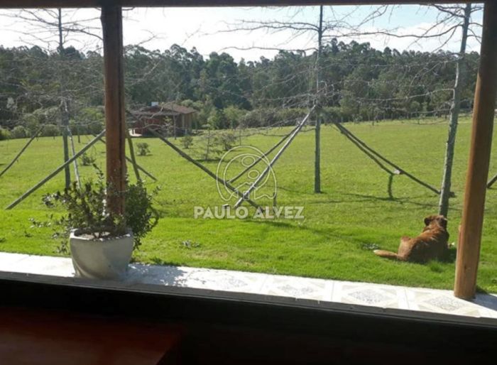 imagen  de la propiedad 170157