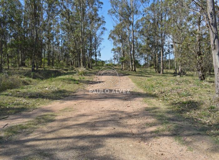 imagen  de la propiedad 170161