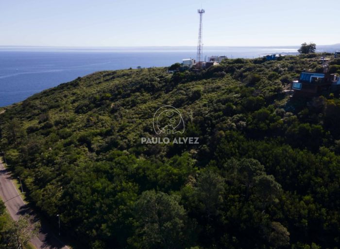 imagen  de la propiedad 170260