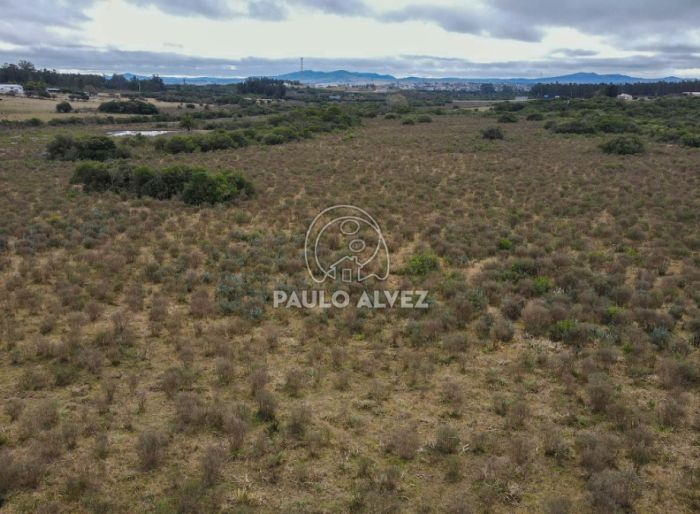 imagen  de la propiedad 170325