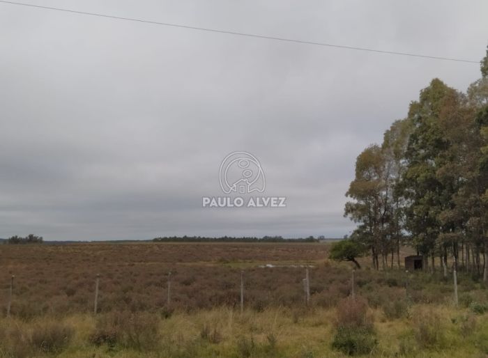 imagen  de la propiedad 170360