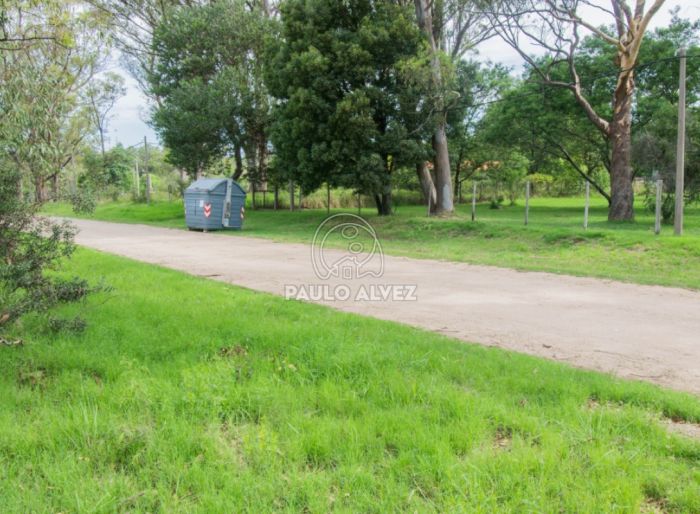 imagen  de la propiedad 170388
