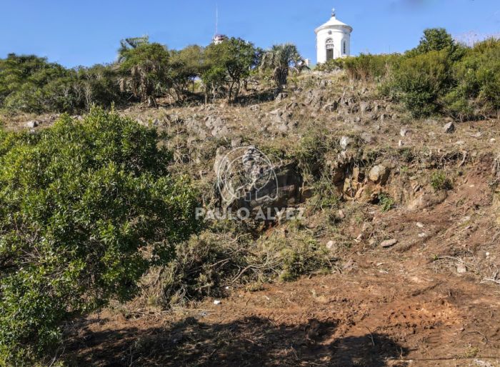 imagen  de la propiedad 170408