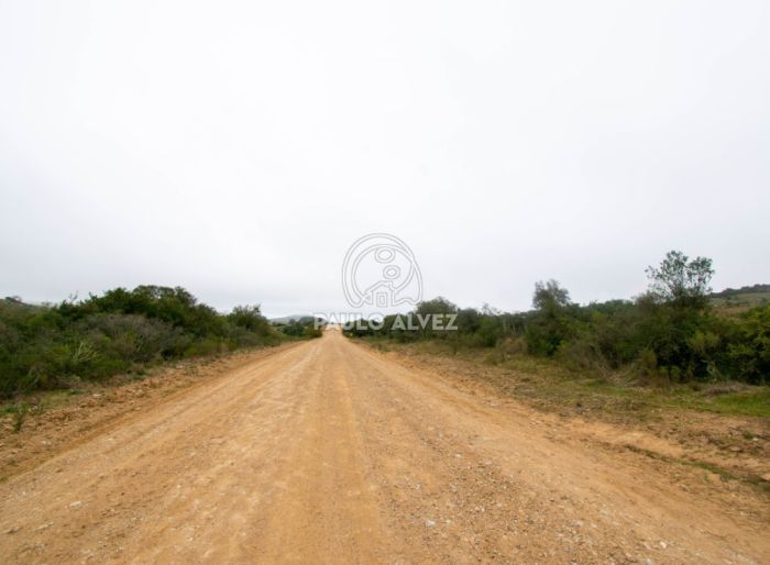 imagen  de la propiedad 170466