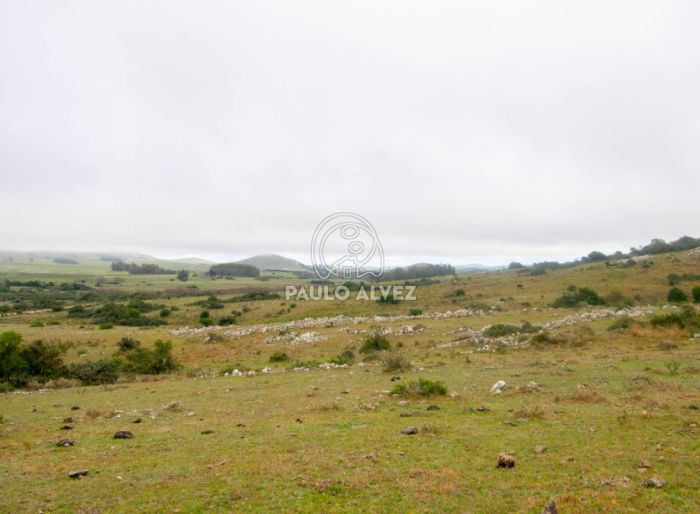 imagen  de la propiedad 170466