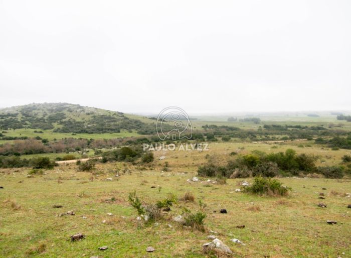 imagen  de la propiedad 170466