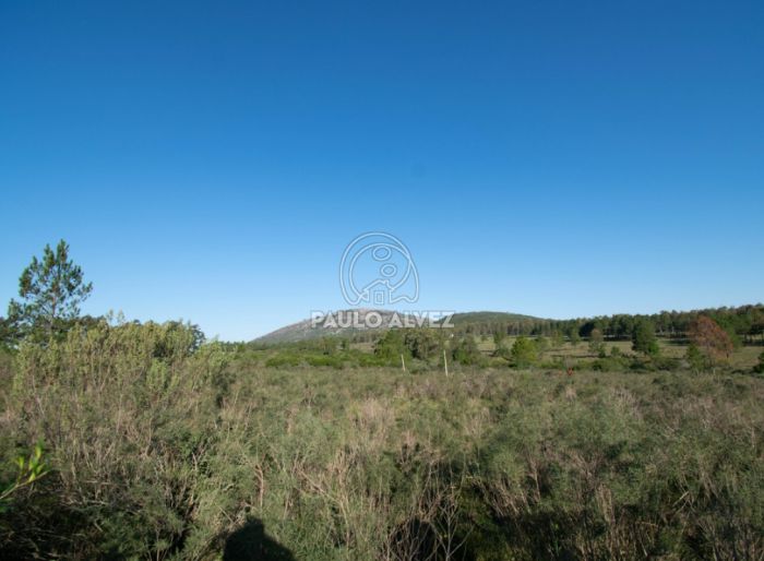imagen  de la propiedad 170543
