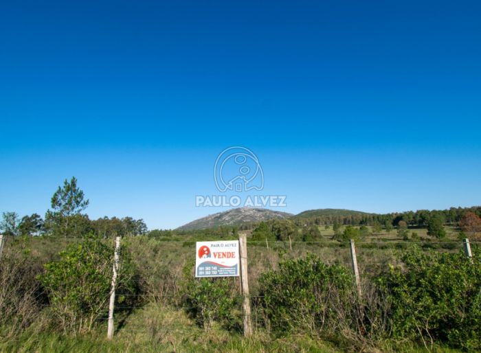 imagen  de la propiedad 170543