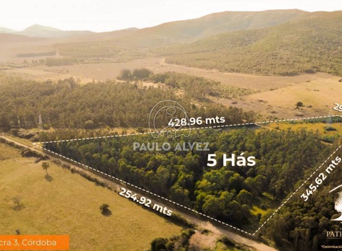 imagen  de la propiedad 170663