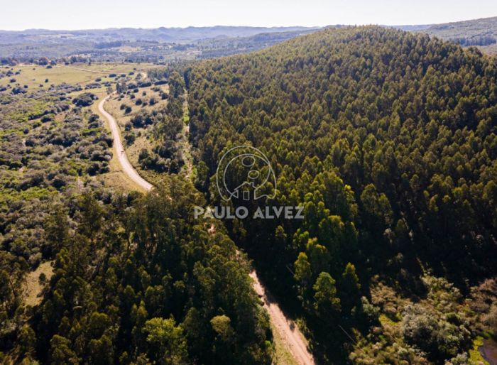 imagen  de la propiedad 170684