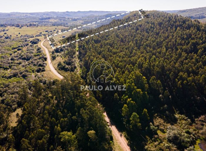 imagen  de la propiedad 170684