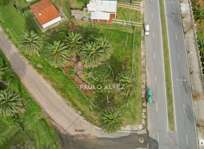 imagen  de la propiedad 170690