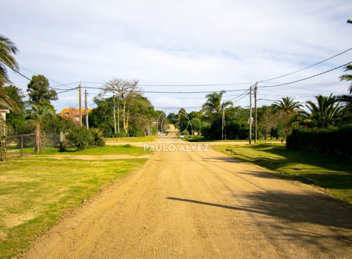 imagen  de la propiedad 184636