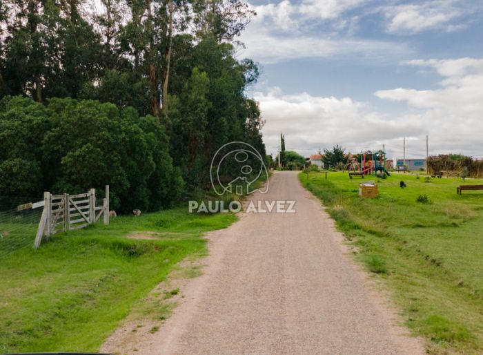 imagen  de la propiedad 185911