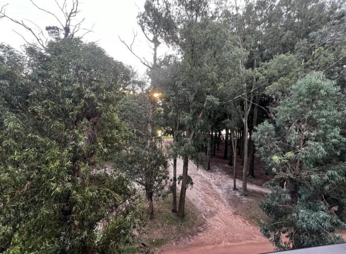 imagen  de la propiedad 184282