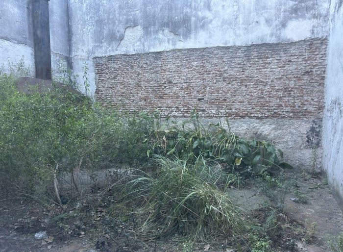 imagen  de la propiedad 137222