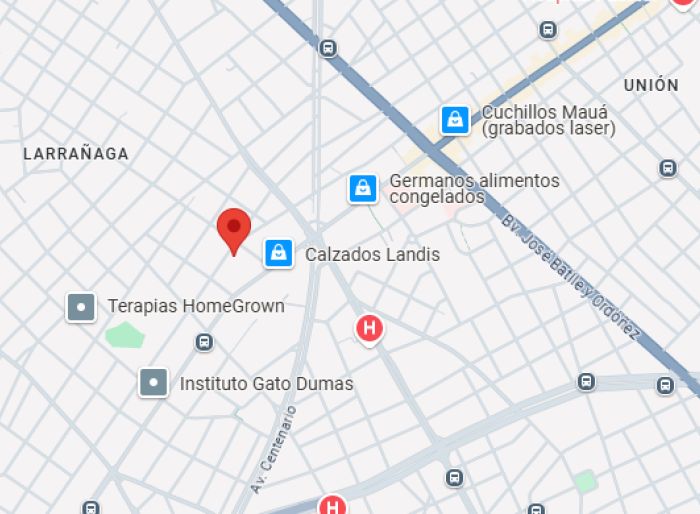 imagen  de la propiedad 138775