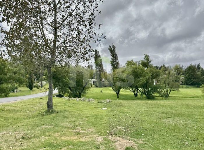 imagen  de la propiedad 118003