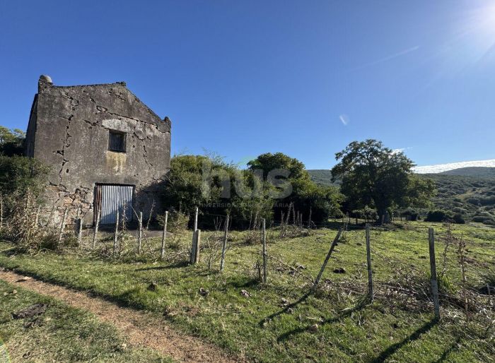 imagen  de la propiedad 155053