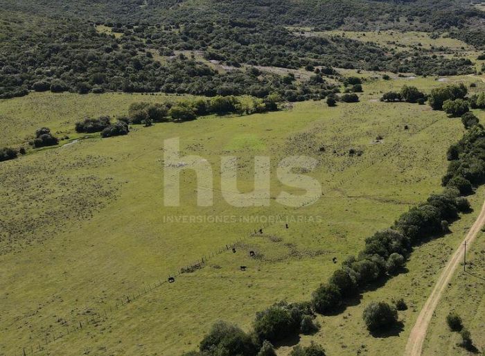 imagen  de la propiedad 155053