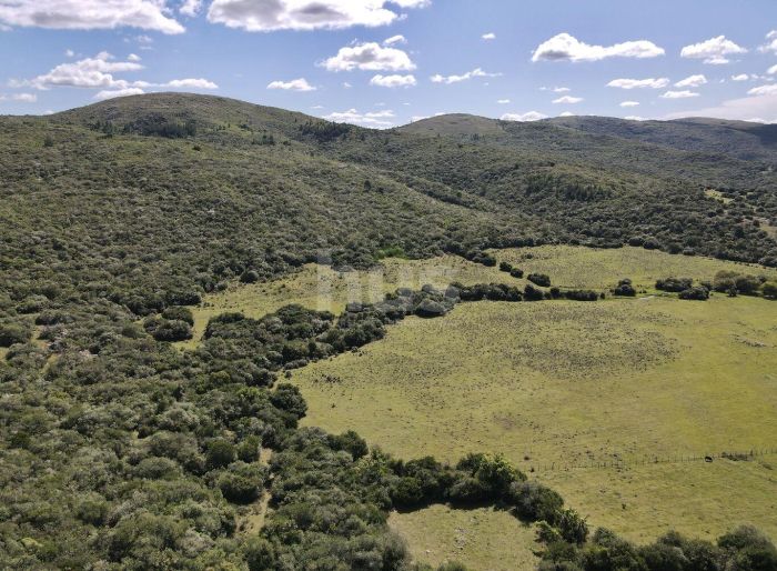 imagen  de la propiedad 155053