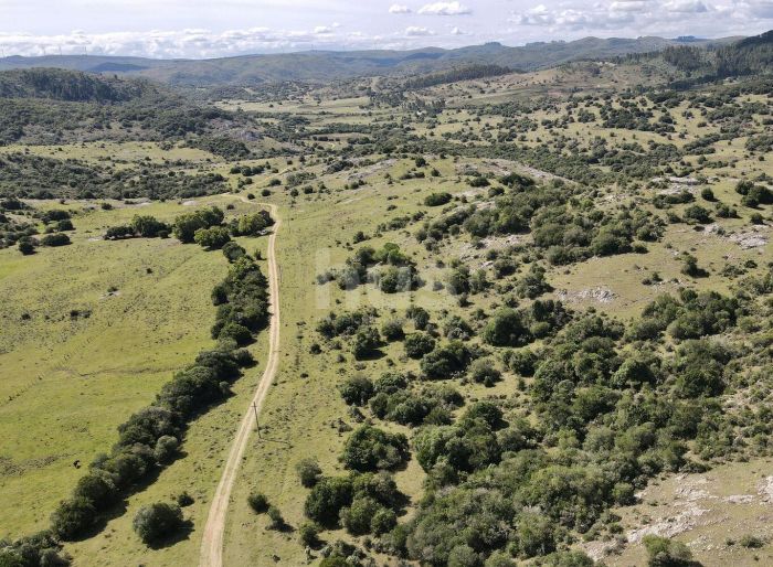 imagen  de la propiedad 155053