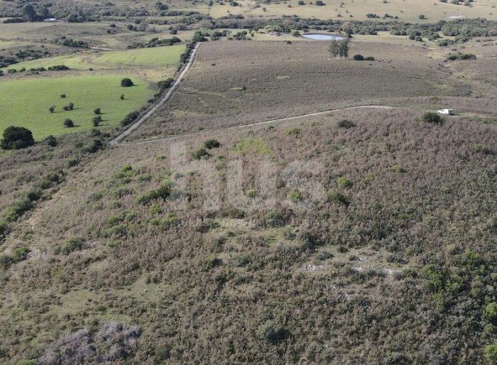 imagen  de la propiedad 176437