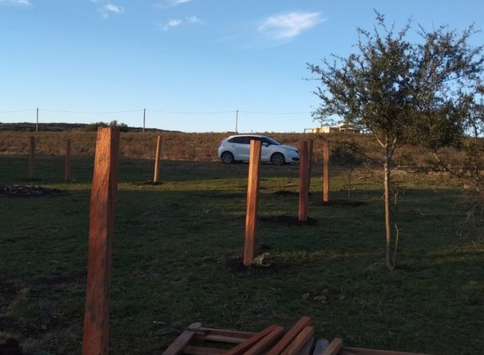 imagen  de la propiedad 130482