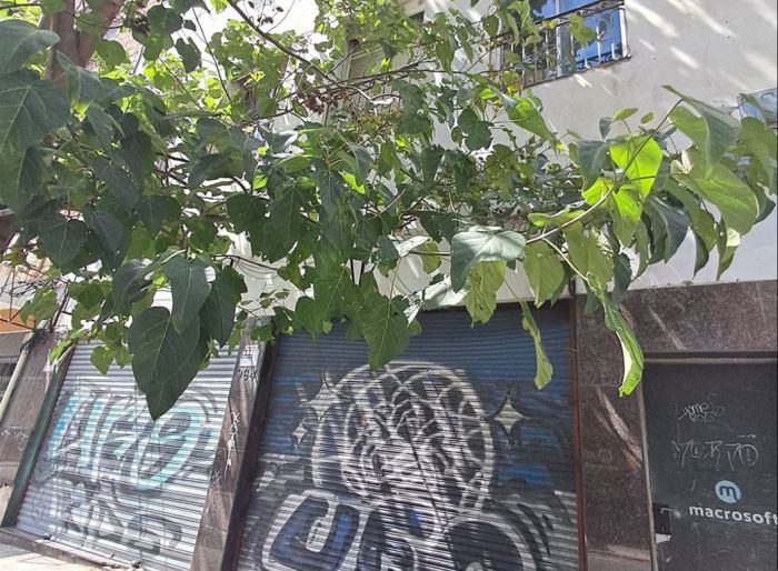imagen  de la propiedad 164083