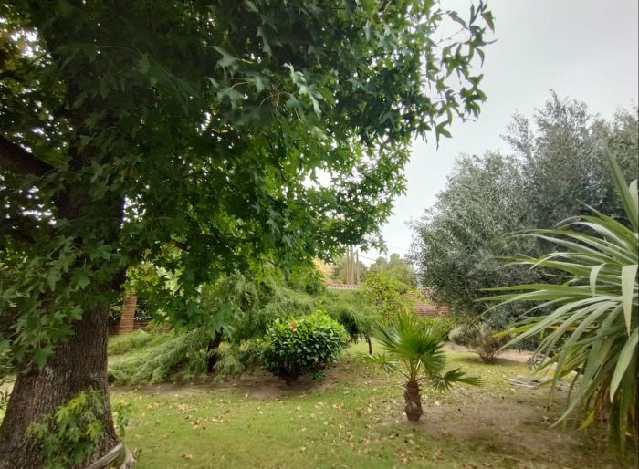 imagen  de la propiedad 175032