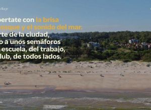 imagen  de la propiedad 1295